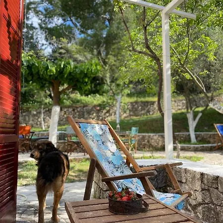 Apartamento πέτρινο σπίτι με κήπο και θέα στον ελαιώνα, Ii